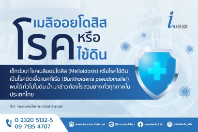 โรคเมลิออยโดสิส หรือไข้ดิน ภัยเงียบช่วงหน้าฝน