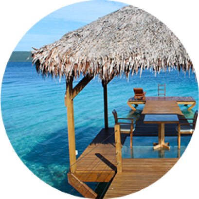 Aliquam congue fer mentum nisl.Lorem ipsum dolor