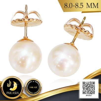 ต่างหู Stud ติดหูไข่มุกเม็ดเดี่ยว ไข่มุก Freshwater Pearl สายพันธุ์น้ำจืดคัดเกรด สีขาว ทรงกลม ขนาด 8.0 - 8.5 mm เกรด AAA Luster ดีเยี่ยม ตัวเรือนก้านต่างหูแบบ Stud ทับหลัง Butterfly แบบ Lollipop วัสดุ 14K Yellow Gold Filled / 26.6.65