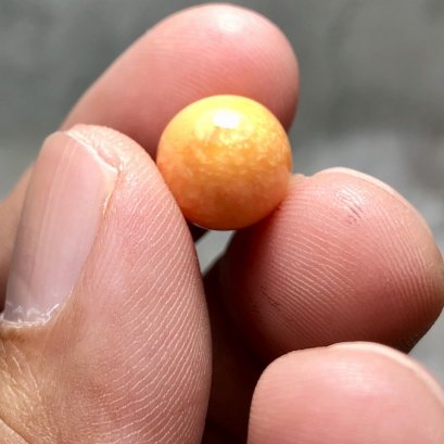 (GIT) ไข่มุก Melo  สีส้ม เม็ดเดี่ยว