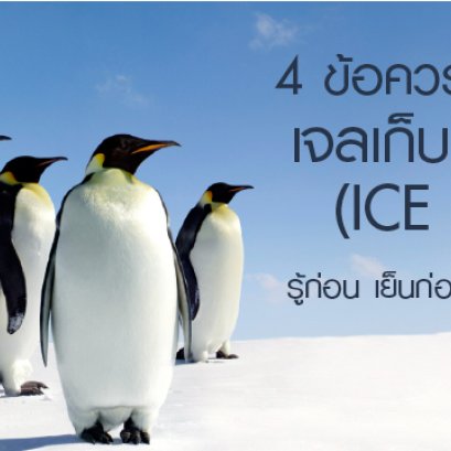 4 ข้อควรรู้ก่อนซื้อ เจลเก็บความเย็น (Ice Pack)
