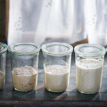 เริ่มเลี้ยงยีสต์ แต่เลี้ยงได้ 3 วัน ยีสต์ตาย ทำยังไงดีคะ