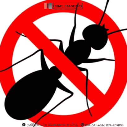 5 วิธีไล่มด ให้หมดไปจากบ้าน 