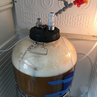 A Comprehensive Guide To Pressure Fermentation