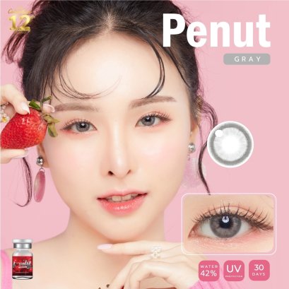 Penut gray