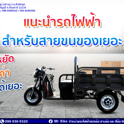 แนะนำ รถไฟฟ้า สำหรับสายขนของเยอะ