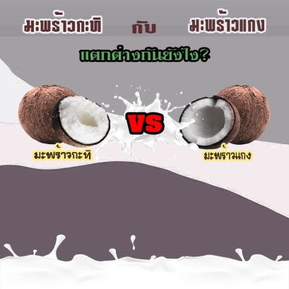 มะพร้าวกะทิกับมะพร้าวแกงต่างกันยังไง