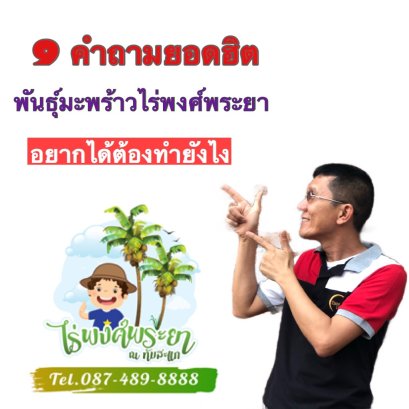 9 คำถามยอดฮิตเรื่องปลูกมะพร้าวจากไร่พงศ์พระยา