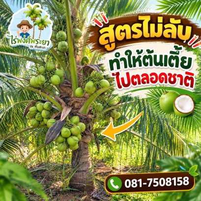 coconut-small1