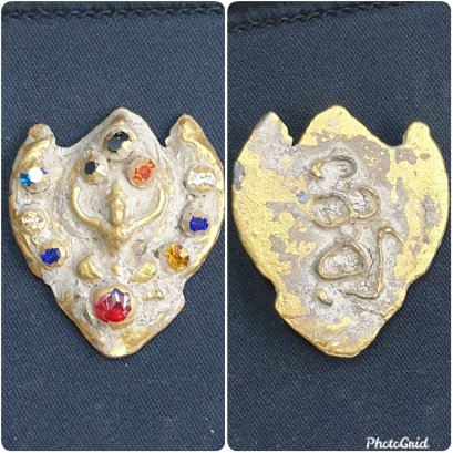 พญาครุฑเนื้อชิน