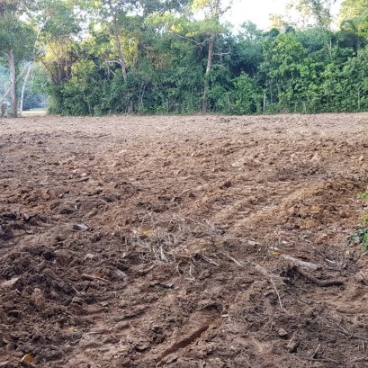 ที่ดินสวยสัตหีบ 1 ไร่ 3 งาน 80 ตรว. หน้ากว้าง 58 เมตร