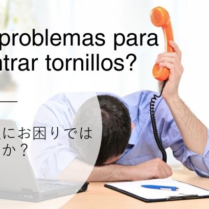 ¡Hola a todos desde México! Somos Hanshin Neji. メキシコの皆さん、こんにちは！私たちは阪神ネジです