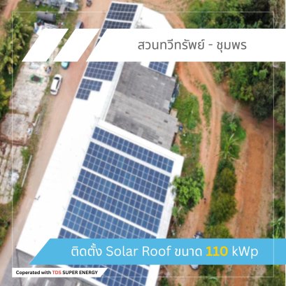 ตัวอย่างผลงานจาก สวนทวีทรัพย์ - ชุมพร 