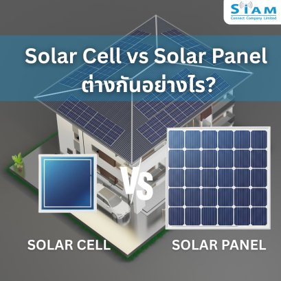 Solar cell VS Solar Panel