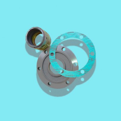 CarrierShaft Seal Compressor with Plate