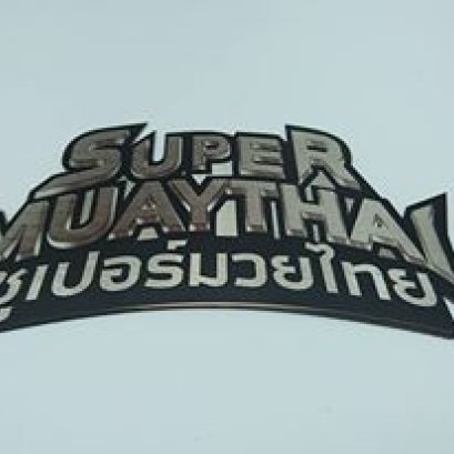 สแตนเลสแฮรไลน์พิมพ์ UV