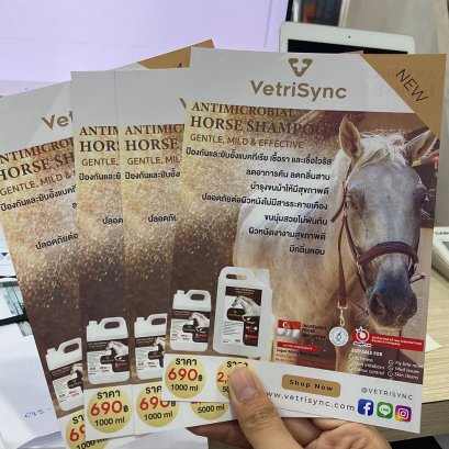 โบรชัวร์ A5