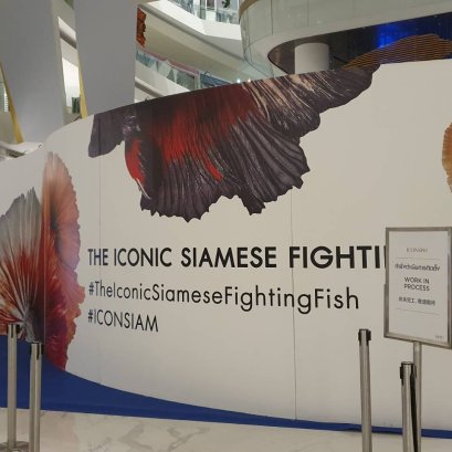 พิมพ์สติ๊กเกอร์พร้อมติดตั้ง