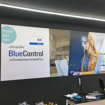 พลาสวูดติดผนัง