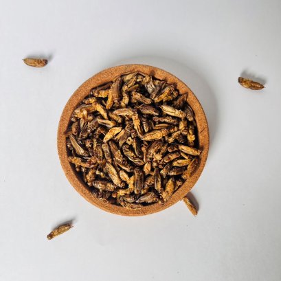 European Union announces Cricket Powder will replace many food items.