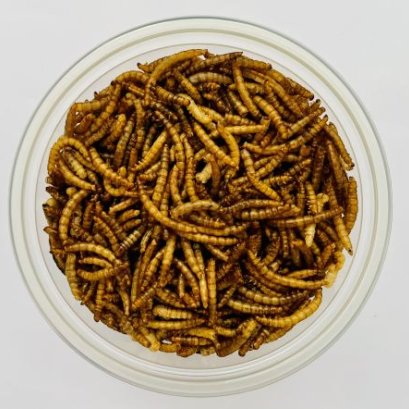 What Are the Health Benefits of Mealworms?