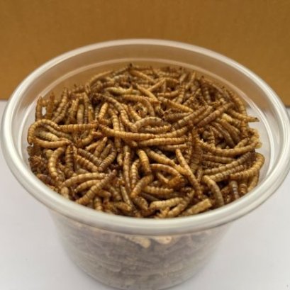 Dried Mealworm Nutrition Value