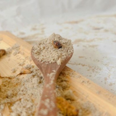 Acheta Powder Is Made Out of What?