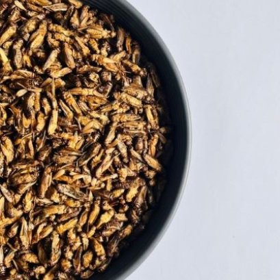 Prospects for insects as human food.