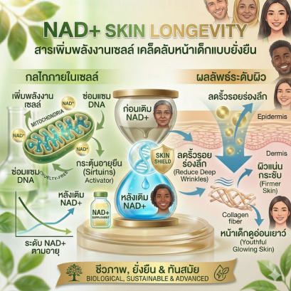 Skin Longevity เจาะลึก NAD+ สารเพิ่มพลังงานเซลล์ เคล็ดลับหน้าเด็กแบบยั่งยืน