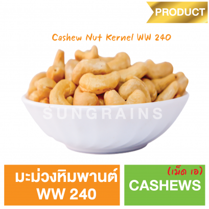 Cashew Nut Kernel Grade WW240