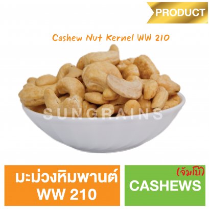 Cashew Nut Kernel Grade WW210