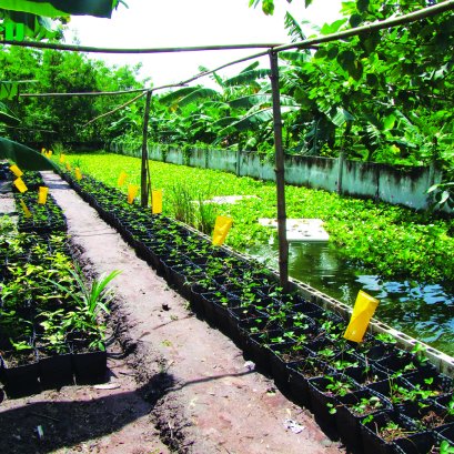 ไร่สุขพ่วง บ้านวิถีพอเพียง 