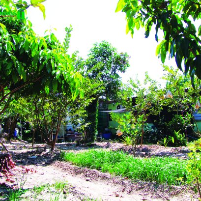 เกษตรกรรวยตั้งแต่ยังหนุ่ม