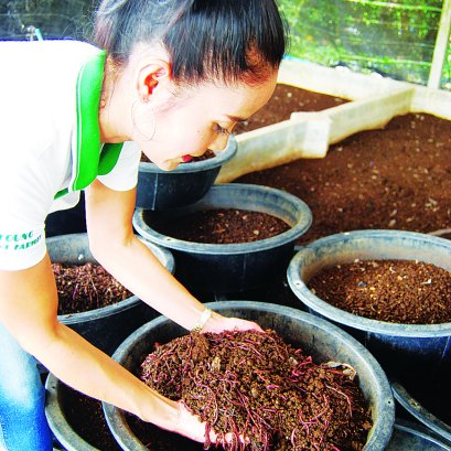  ฟาร์มไส้เดือนตาหวาน 