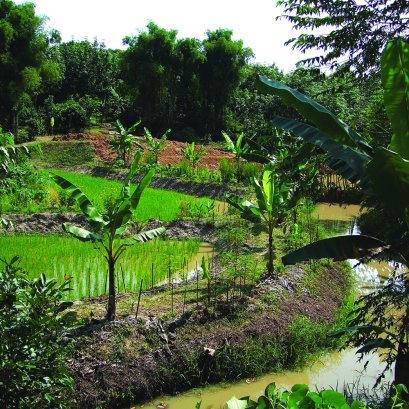 ชุมชนต้นน้ำน่าน อนุรักษ์ดิน น้ำ ป่า แก้ปัญหาภัยพิบัติอย่างยั่งยืน 