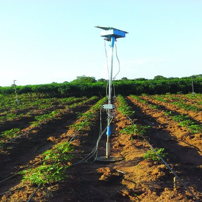 เซ็นเซอร์วัดความชื้นดิน  นวัตกรรมอัจฉริยะควบคุมการให้น้ำพืช 