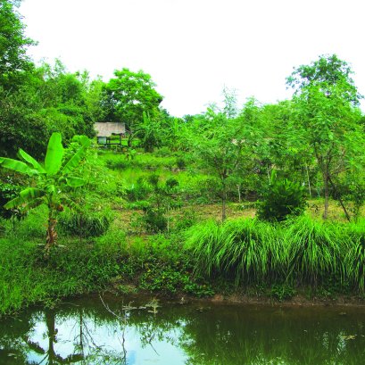 ทำนา เก็บน้ำในเบ้าขนมครก ปลูกผักบนโคก พื้นที่ 3 ไร่ พออยู่ พอกิน ปลดหนี้ได้