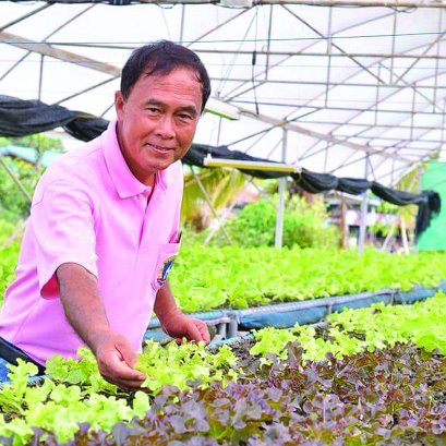 ปลูกผักอินทรีย์แบบมืออาชีพกับปิยะทัศน์ ทัศนิยม