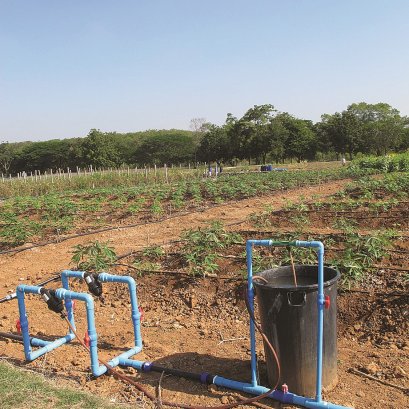 เล่าสู่กันฟังฉบับที่ 1/2559