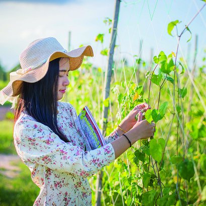 พลิกชีวิตด้วยการปลูกผักพื้นบ้าน ปลูกง่าย รายได้ดี มีตลาดต้องการ