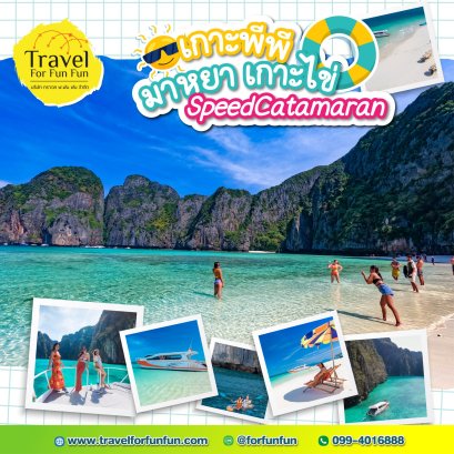เกาะพีพี เกาะไข่ เรือ Speed Catamaran