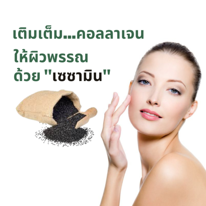 เซซามินกับความงาม