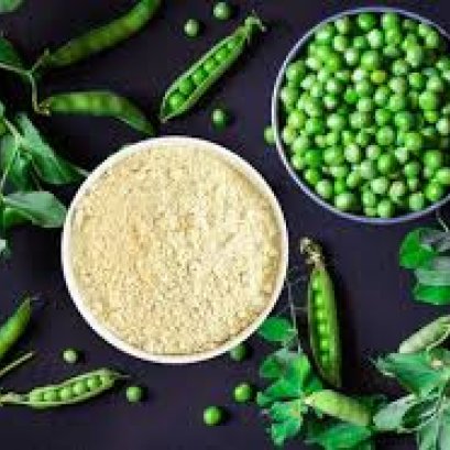 Pea Protein