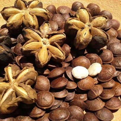 How good is Omega from Sachi Inchi for brain?