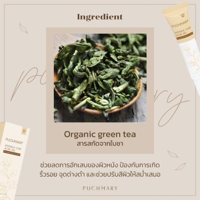 Organic Green Tea