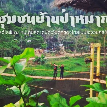 สายแคมปิ้งจ๋า แวะมาบ้านป่าหมากกันไหม?  ตอนนี้เปิดให้ตั้งเต๊นท์กันได้แล้วนะจ๊ะ