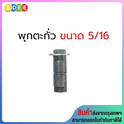 ชุดพุกตะกั่วพร้อมสกรู 5/16 จำนวน 1 ตัว