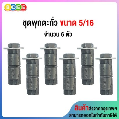 ชุดพุกตะกั่วพร้อมสกรู 5/16 จำนวน 6 ตัว/ชุด