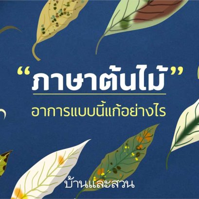 ลักษณะ 12 อาการต้นไม้ เจอแบบนี้ขาดธาตุอาหารชนิดใด