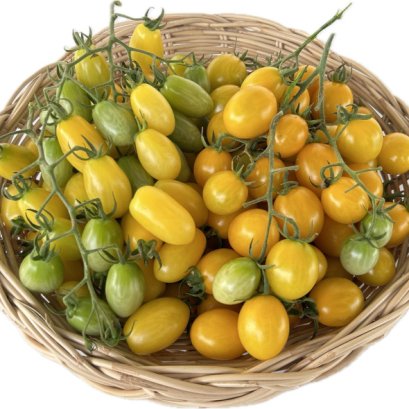 มะเขือเทศเชอรี่